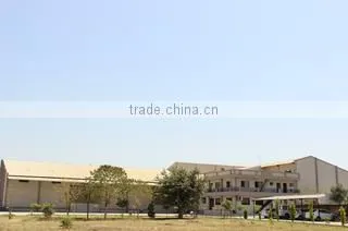 Gayatri Psyllium Industries company overview - view 2