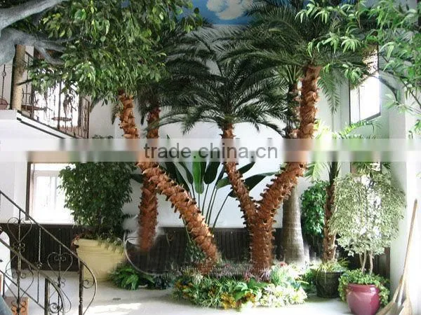 Janpan cherry tree
