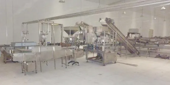 Canned Red Bean and Red Kidney Bean Production Line