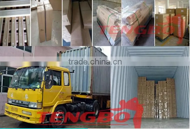 Wholesale high quality but cheap price TB-T-6 tenni tabl ball