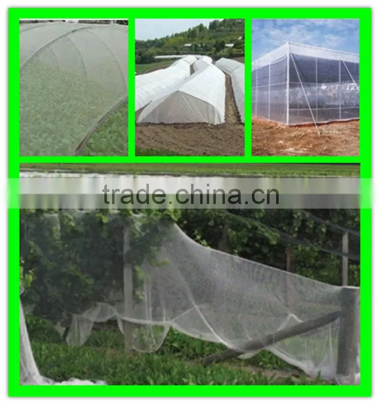 high quality greenhouse insect proof net window netting
