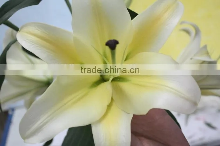 Exquisite hot selling fresh lilies flower on sale