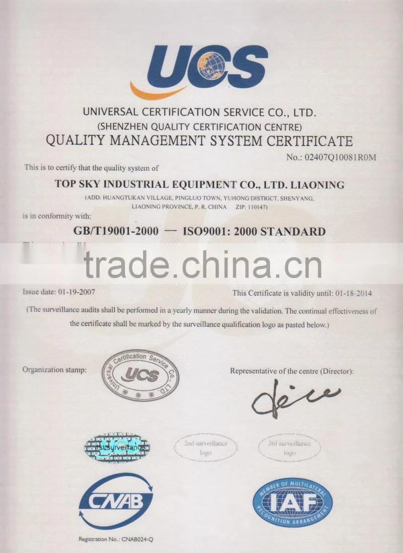 Top Sky T6018-8T Hammerhead Tower Crane