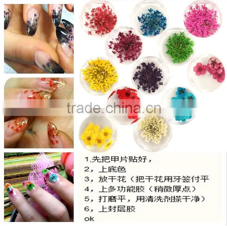 Hot sell nail art natural dried flowers for nail art decoration,nail accessory ZX:GH748