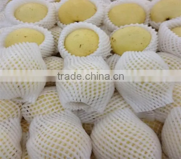 Pear protective PE foam netting