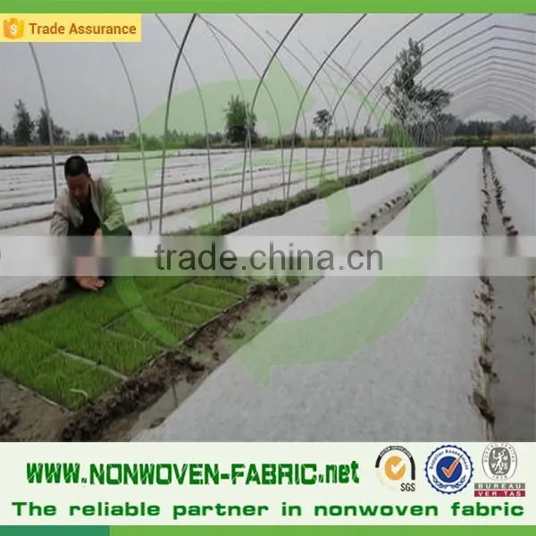 Hydrophilic Suitable Disposable Ground Cover Nonwoven