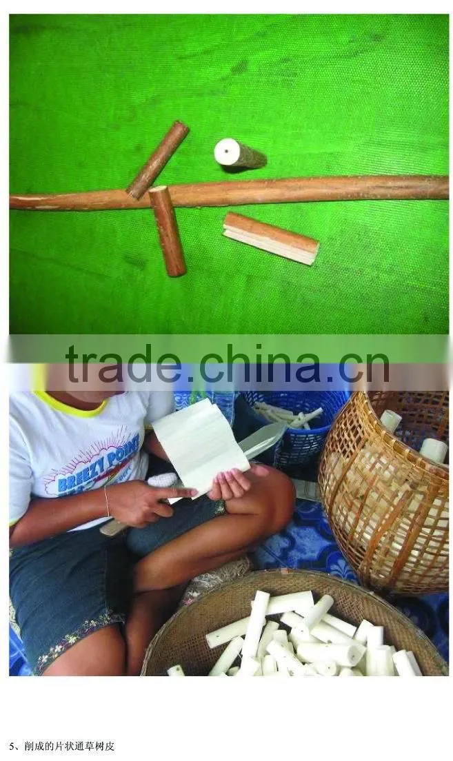 hot sale high quality Sola flower fragrance diffuser