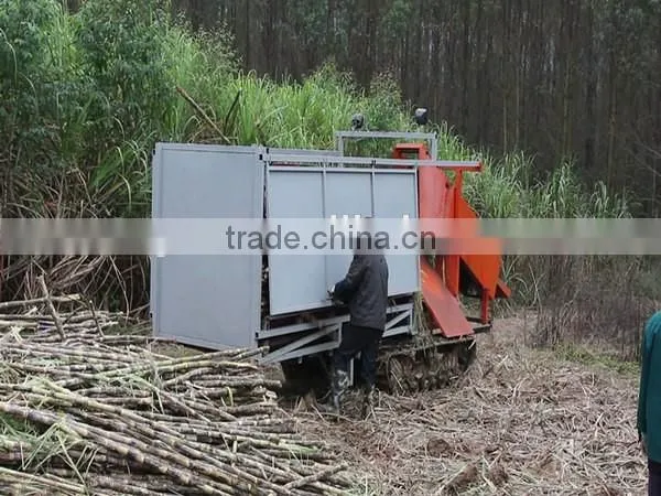 Well-known TAGRM brand sugarcane leaf remover/with two wheels sugarcane leaf peeling machine