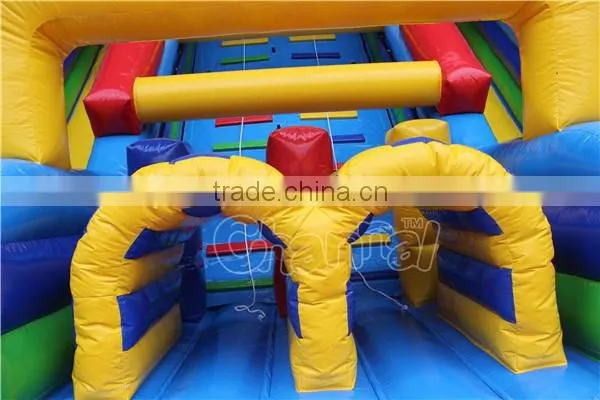 Giant Vertical Rush Inflatable Slide/Inflatable Dry Slide