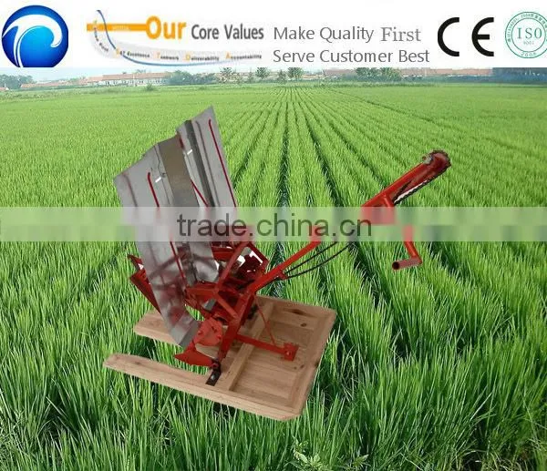big promotion and popular selling rice transplanter price