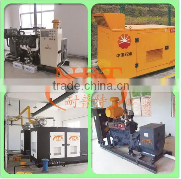 biogas engine generator