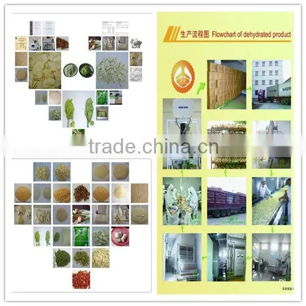 dried sliced garlic granulated garlic dried garlic granules dried garlic powder