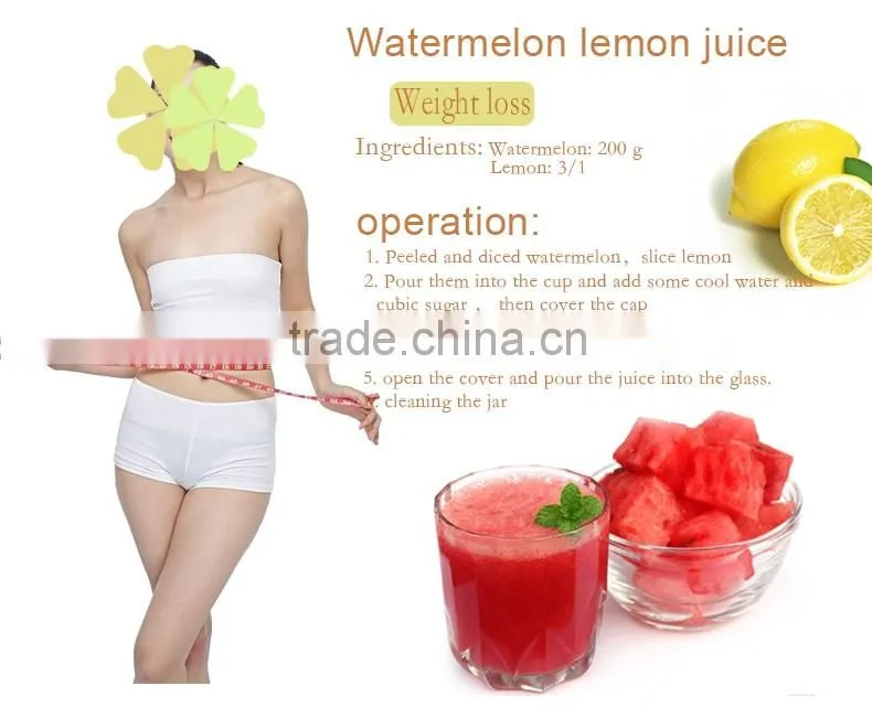 electrical food processor juicer juicer CE Kitchen appliance Household fruit food Blender juicer mixer blender