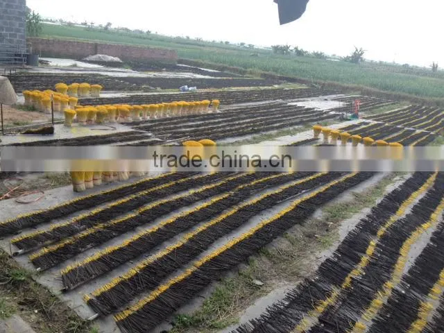 Black Incense Sticks 8"Made Machine, best price, www.tuanminhexport.com