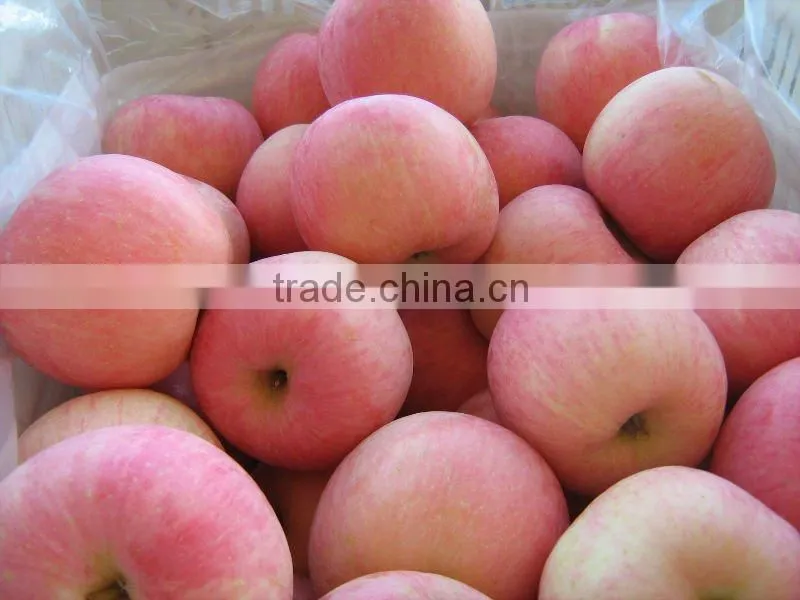 Chinese red fuji apple in 20kg cartons