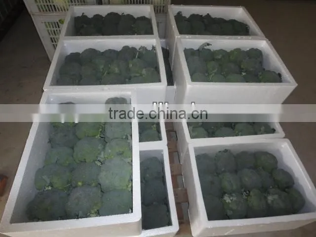Chinese Fresh Green Broccoli