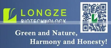 Professional manufactory supply Chinese bilberry P.E/ blueberry spray-dried fruit powder free sample supplied