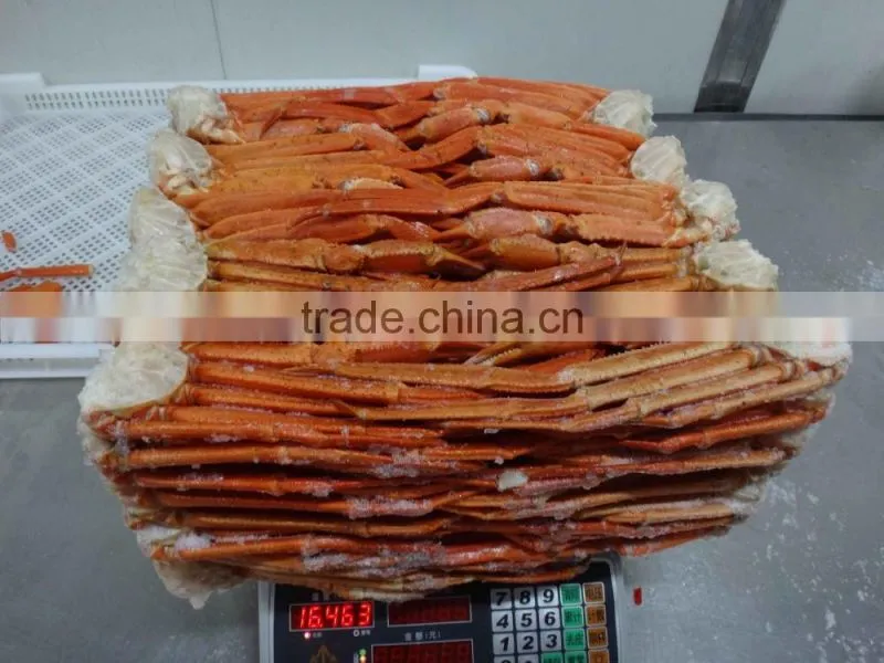 RED SNOW CRAB CLUSTER