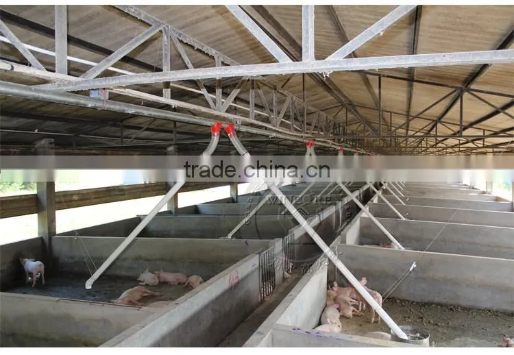 Automatic pig feeding system for fattening pig