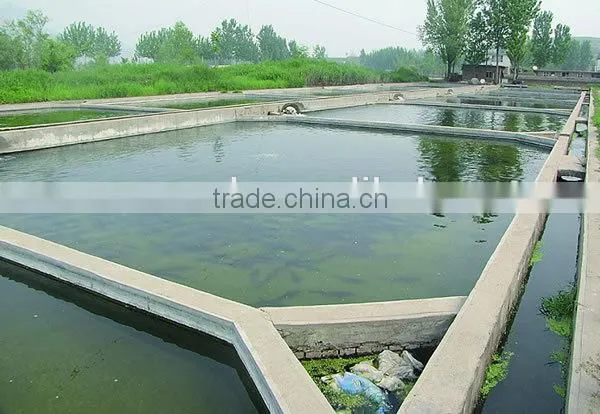 15g aquaculture ozone generator water treatment