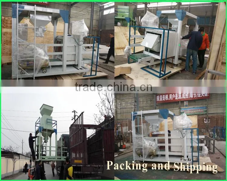 DCS-50kg Stainless steel weighting bagging machine for rice