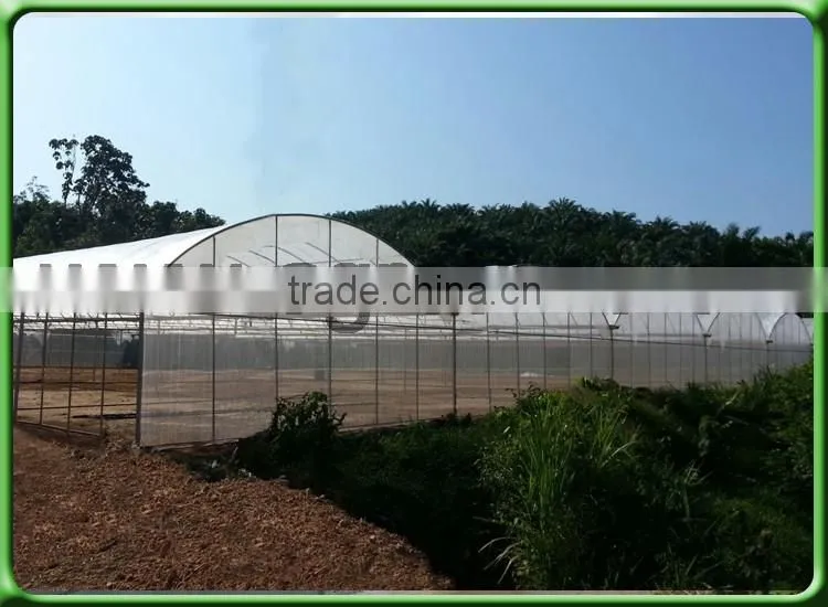 used sale fiberglass Insect Net for Greenhouse