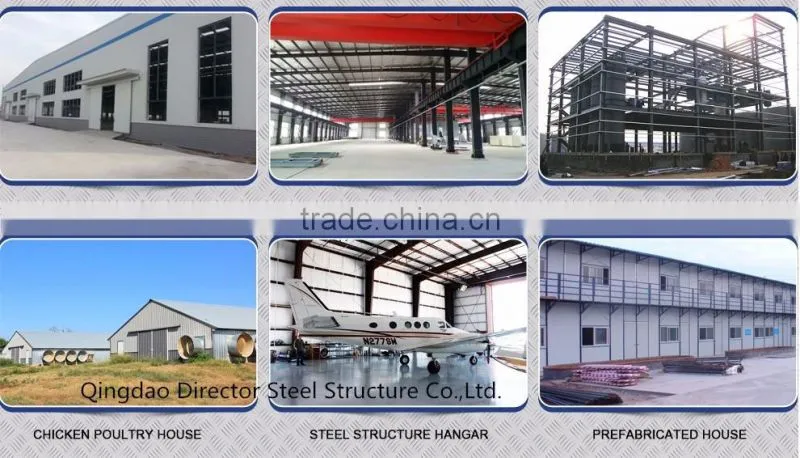 Steel Frame Workshop with Crane Steel Structures Design