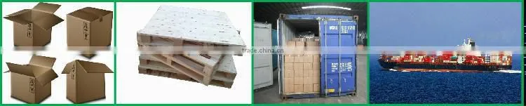 chain and sprocket for Greenhouse rack and pinion drive system