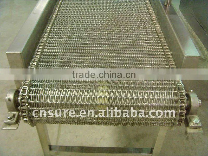 food grade conveyor