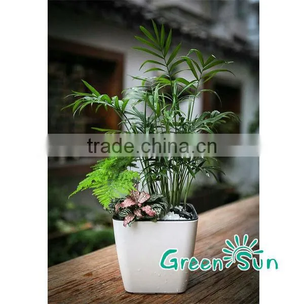 Self watering flowerpot
