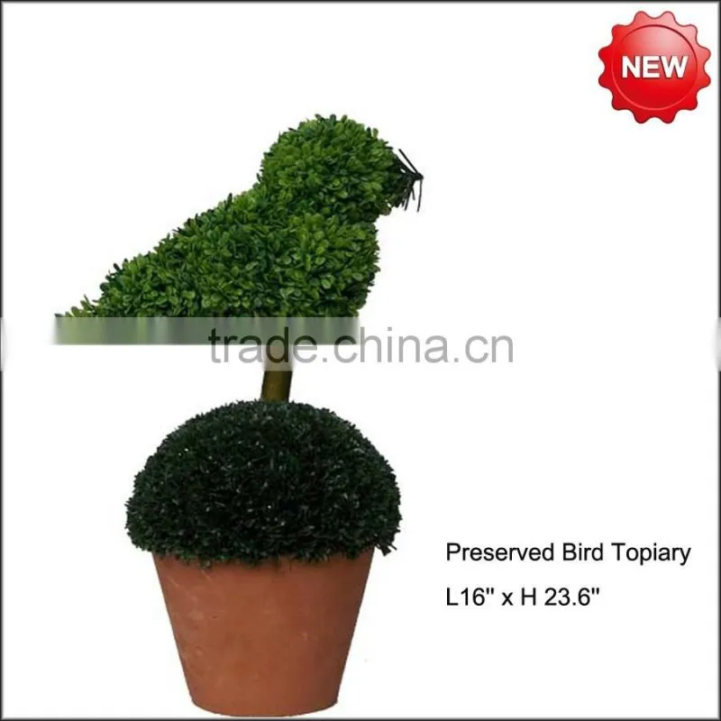 Preserved boxwood animal topiary factory