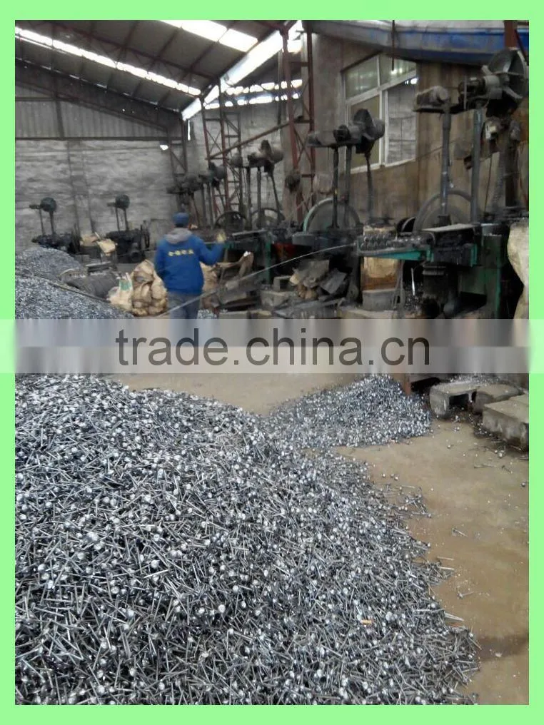 roofing nails/roofing nail supplies