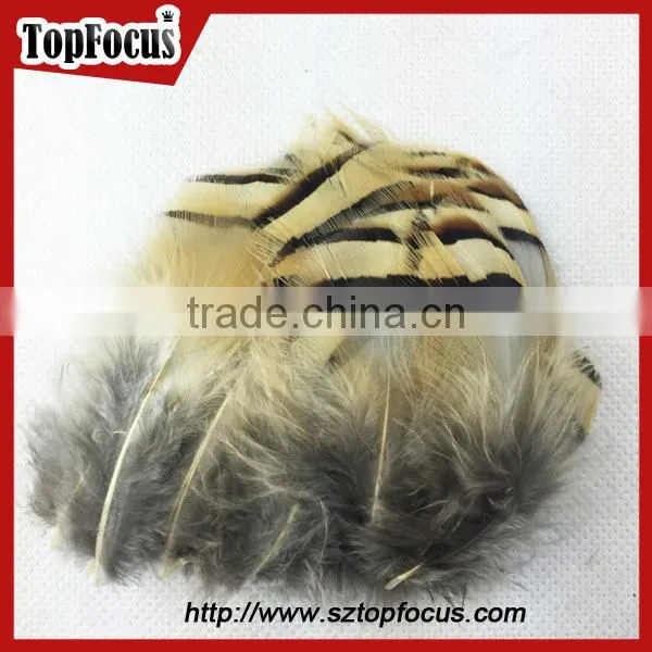 wholesale down pheasant Partridge Plumage Natural pheasant feathers prices