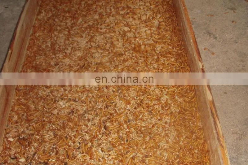 Multifunctional Mealworms Machine to Separate /Small Worm Tenebrio molitor Selecting Machine