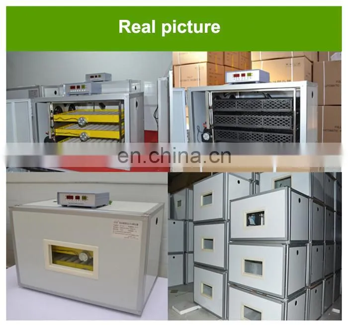 Chicken, Reptile, Bird, Emu, Ostrich, Duck Usage Egg Incubator and Hatcher