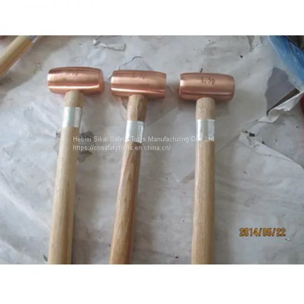 SK258B 1