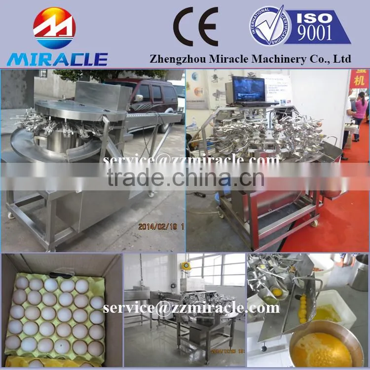 Liquid egg process plant breaking and separating eggs machine