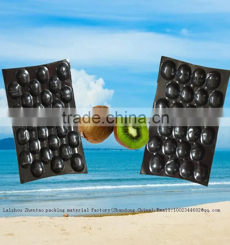 Disposable Plastic Fruit Strawberry Packaging Tray