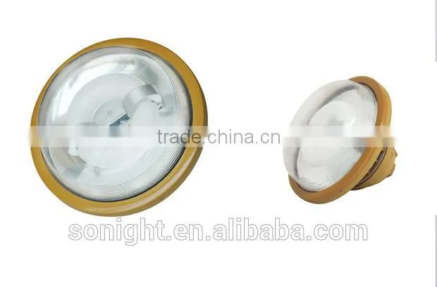 40W 50W 60W Bridge Lux IP67 WF2 Explosion Proof /Flameproof Explosion Lamp