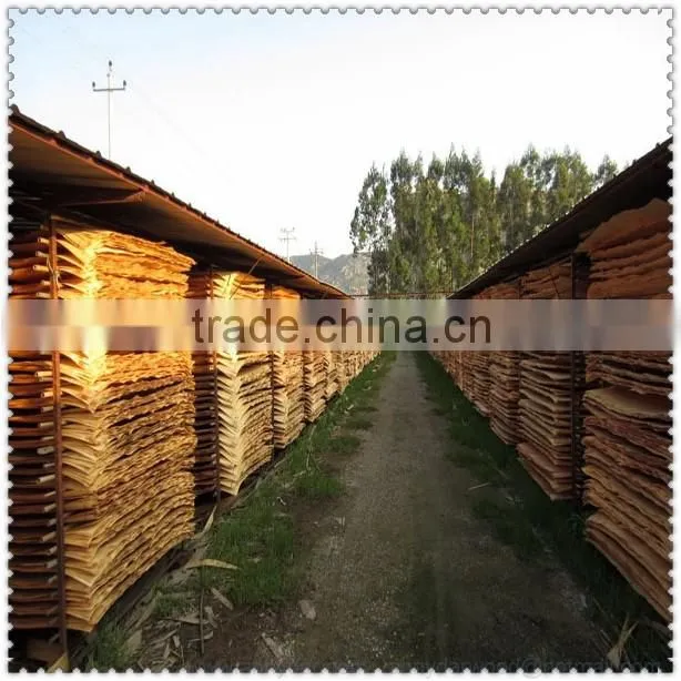 new zealand pine price china supply pine