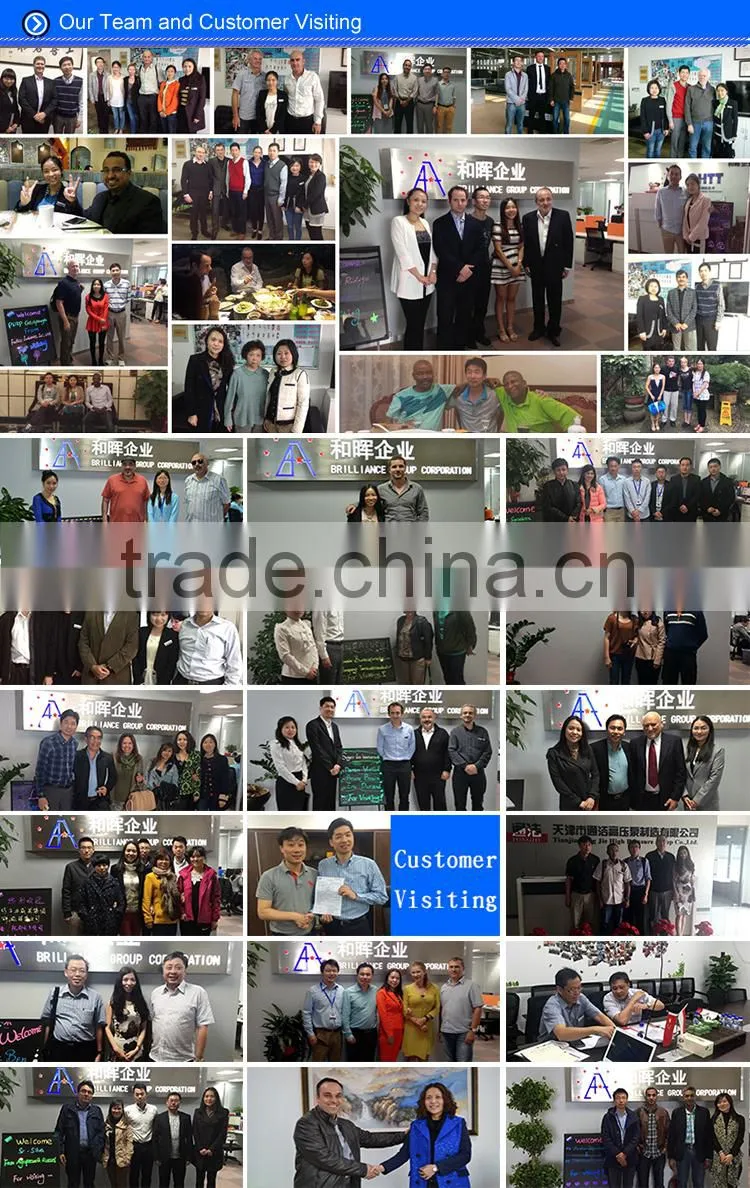 6063 T5 Black Welded Wire Fence Mesh Panel