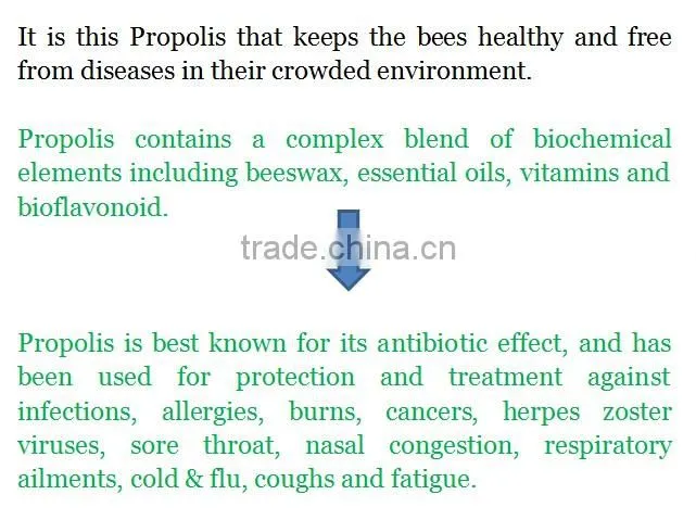 Propolis 1000