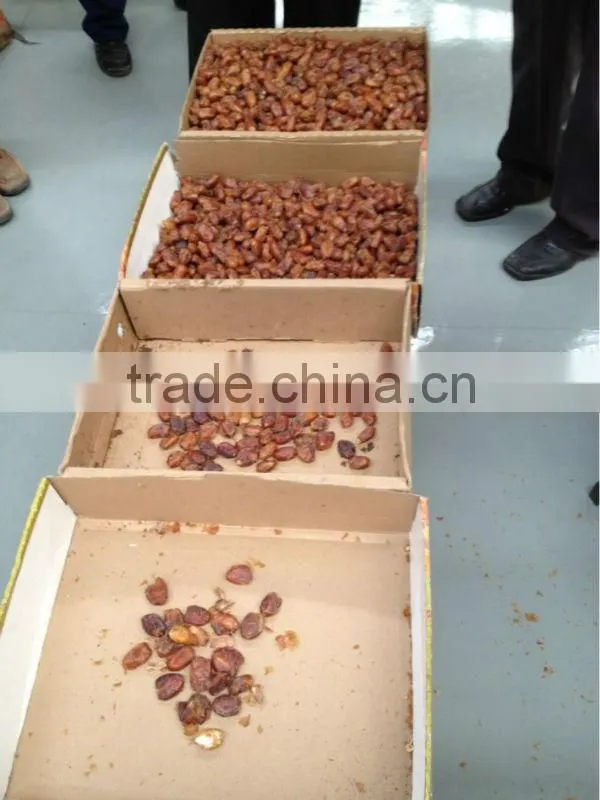 Date Sorting machine