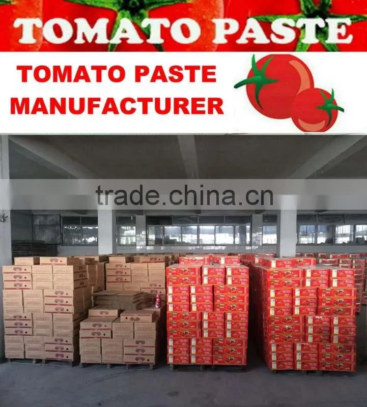 Factory Supply 800gram*12tins Tinned Tomato Paste