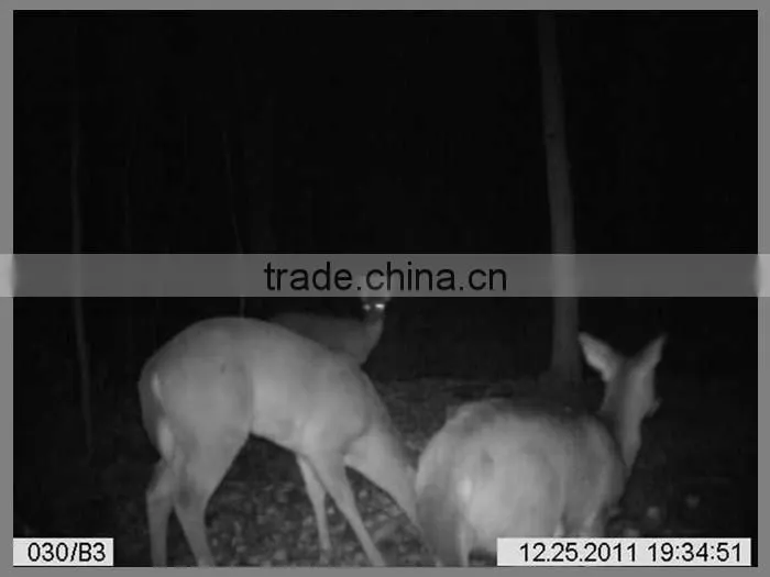 PIR snesitivity pir camera hunting