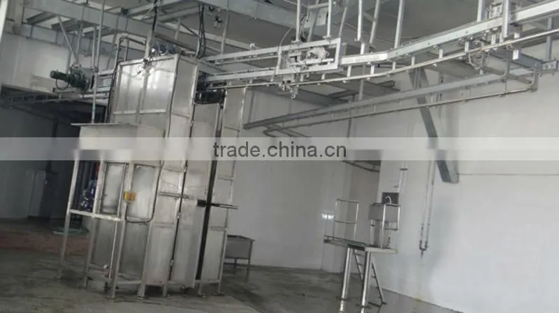 cow slaughter slaughter line for cattle cattle slaughter line
