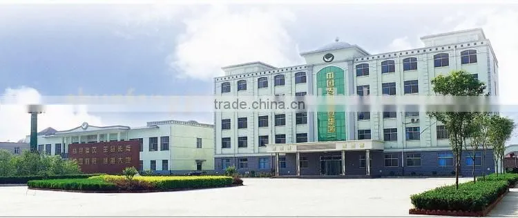 Multi Functions Wall Mounted Gas Boiler