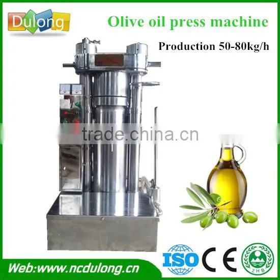 Hot sale DL-ZYJ01Y small olive oil press for sale