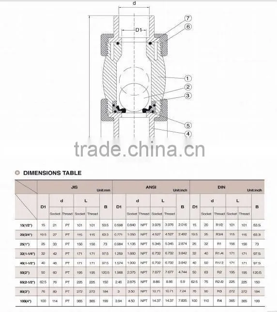 Single Union Ball Check Valve