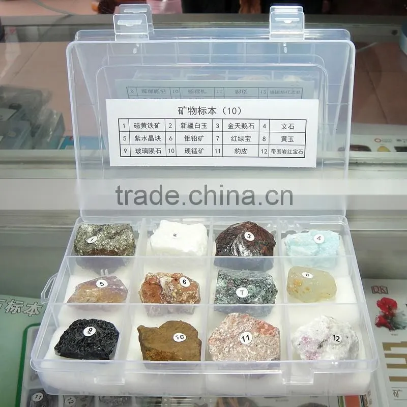 12 Kinds Mineral Teaching Toy